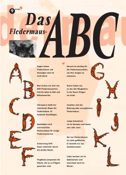 Flyer Das Fledermaus-ABC  (Seite 1)